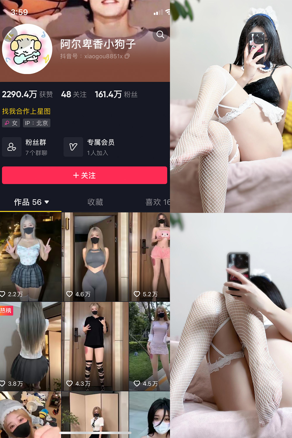 抖音博主 阿尔卑香小狗子 微密圈作品  NO.033期 【19P】最新至：2023.10.16