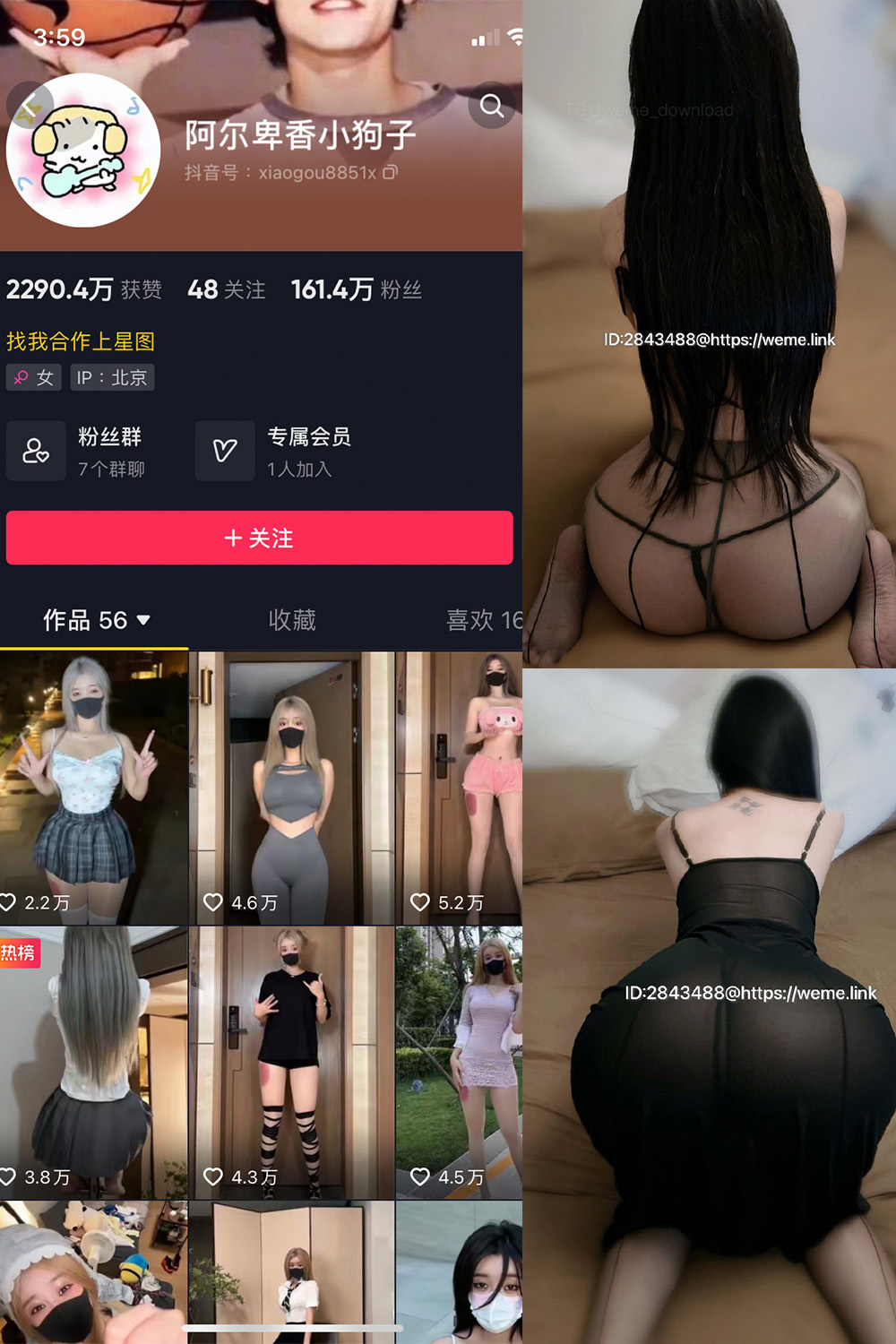 抖音博主 阿尔卑香小狗子 微密圈作品 NO.057期 【36P1V】最新至:2024.9.3 抖音博主 阿尔卑香小狗子 微密圈作品 NO.057期 【36P1V】最新至:2024.9.3