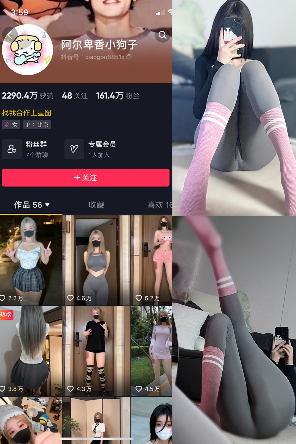 抖音博主 阿尔卑香小狗子 微密圈作品  NO.038期 【10P】最新至：2023.11.23