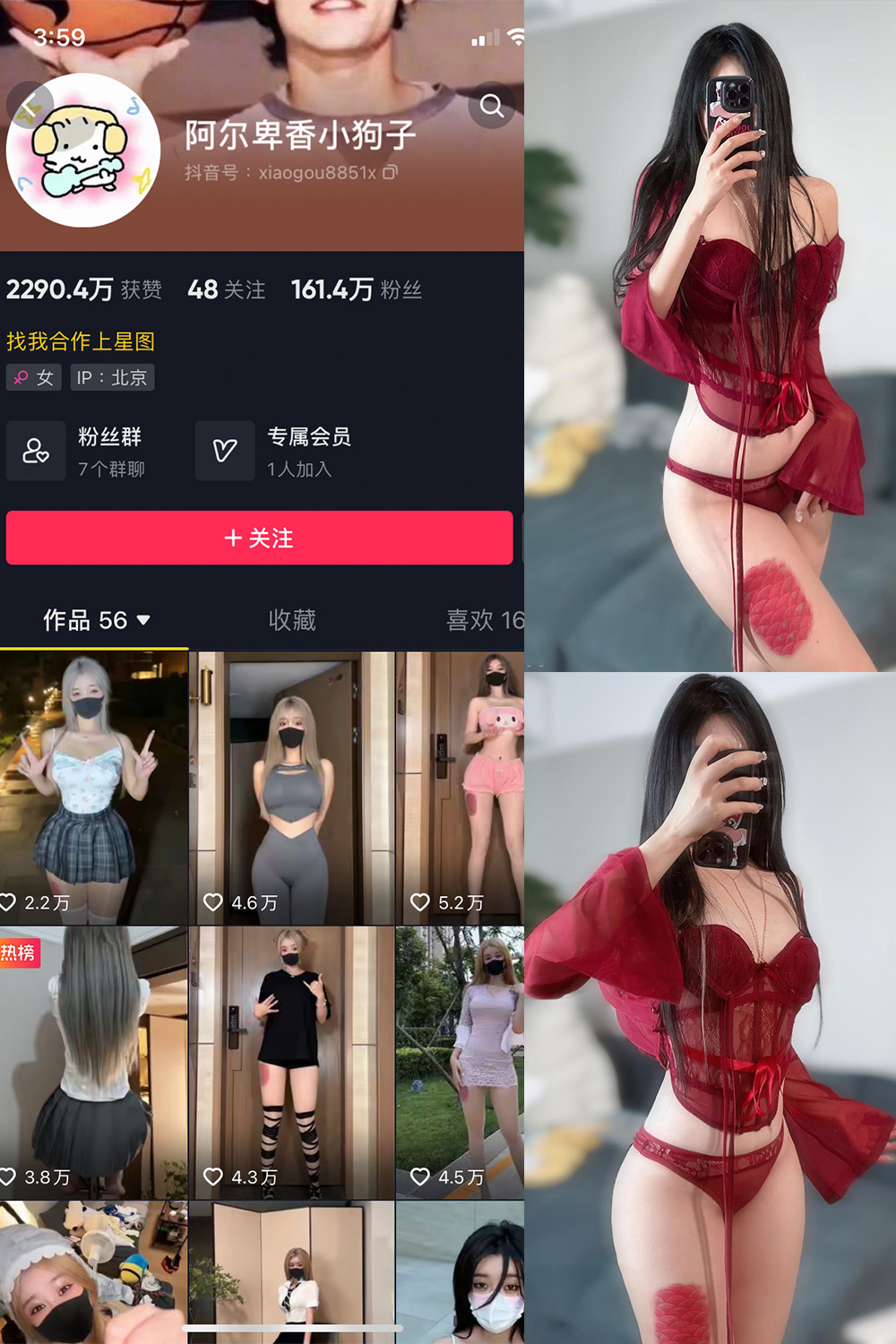 抖音博主 阿尔卑香小狗子 微密圈作品  NO.056期 【10P2V】最新至：2024.8.25
