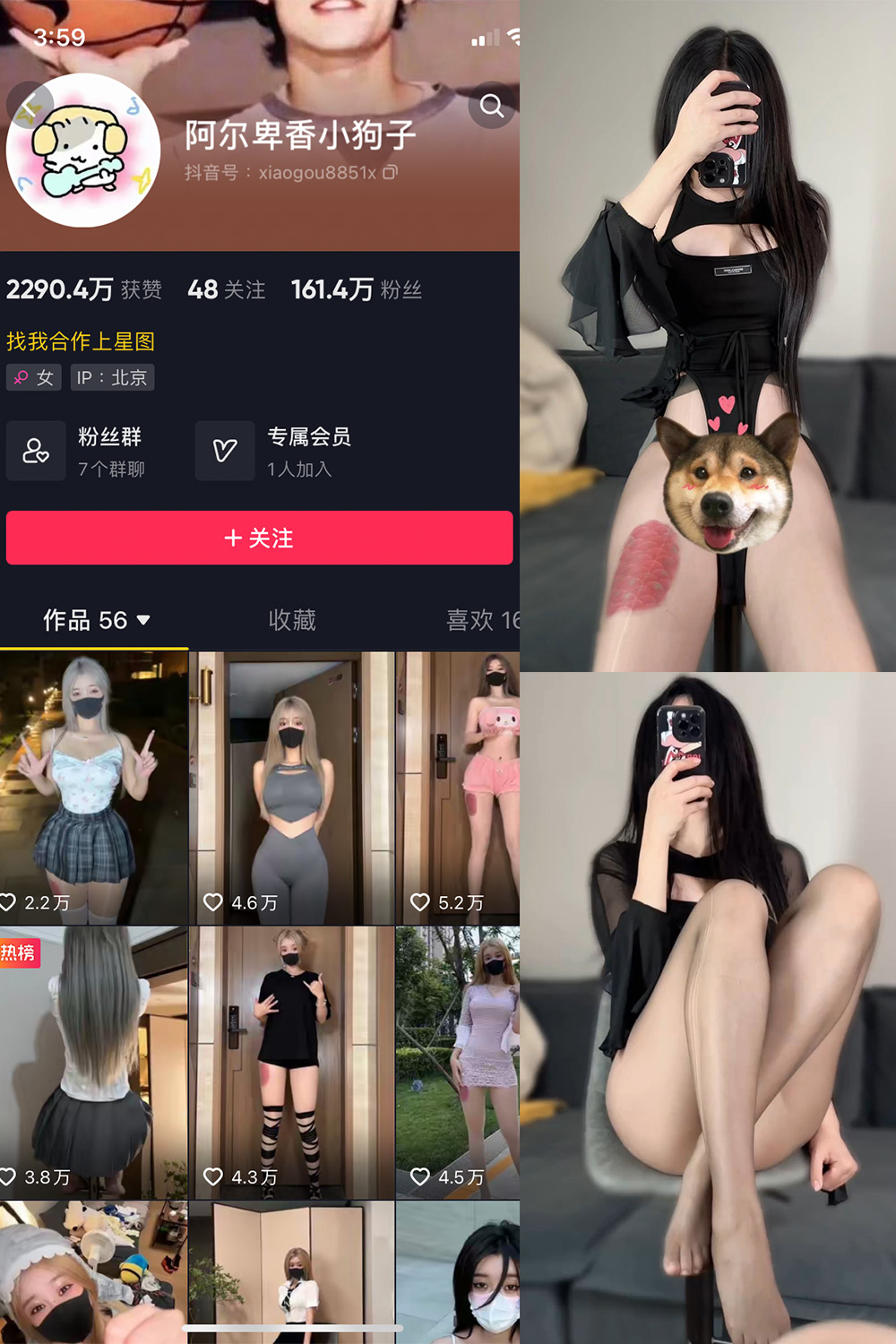 抖音博主 阿尔卑香小狗子 微密圈作品  NO.026期 【8P1V】最新至：2023.9.27