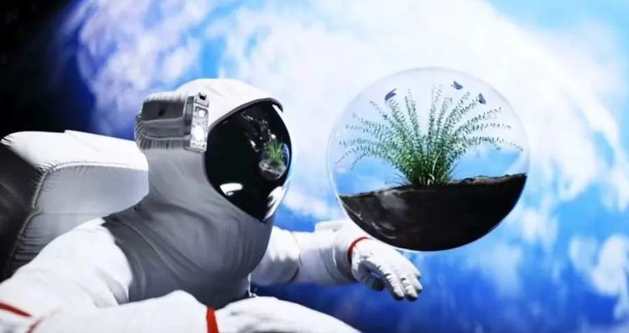 神舟十八太空养鱼—斑马鱼游向星辰大海_黑料正能量