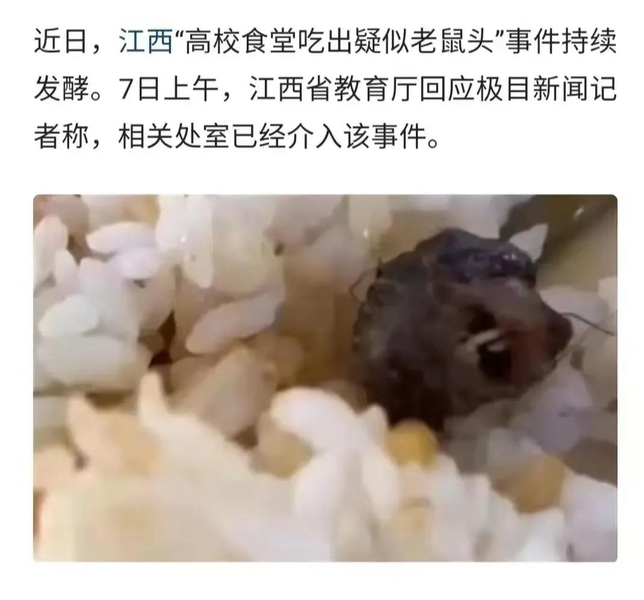 10多天过去了，“老鼠头事件”持续发酵，是非曲直，该出检测结果了_黑料正能量