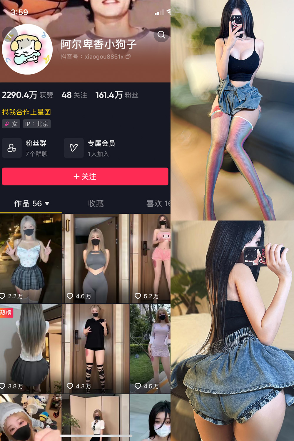 抖音博主 阿尔卑香小狗子 微密圈作品  NO.027期 【7P】最新至：2023.9.29