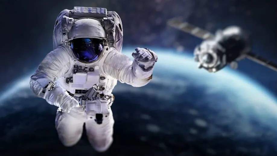 神舟十八太空养鱼—斑马鱼游向星辰大海_黑料正能量
