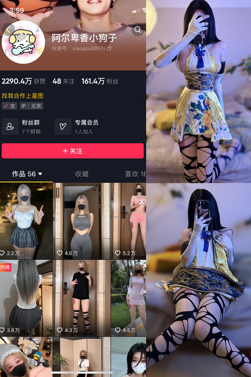 抖音博主 阿尔卑香小狗子 微密圈作品  NO.030期 【13P1V】